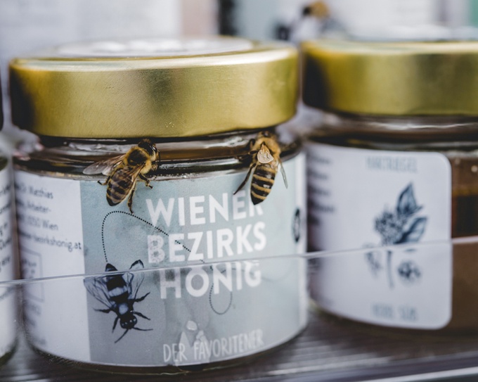 Odoo • Bild und Text